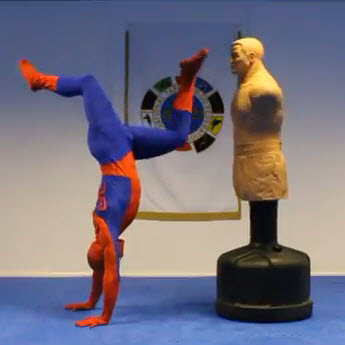 taekwondo-spiderman